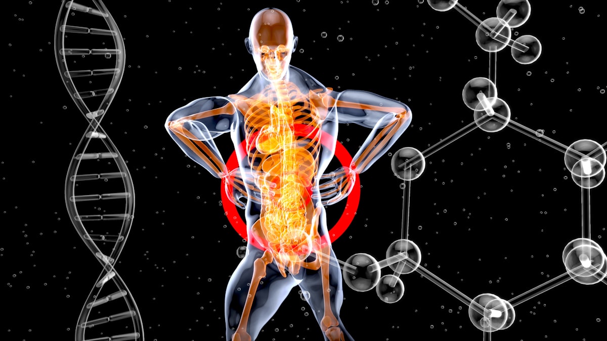 Omega-3 foods and joint inflammation